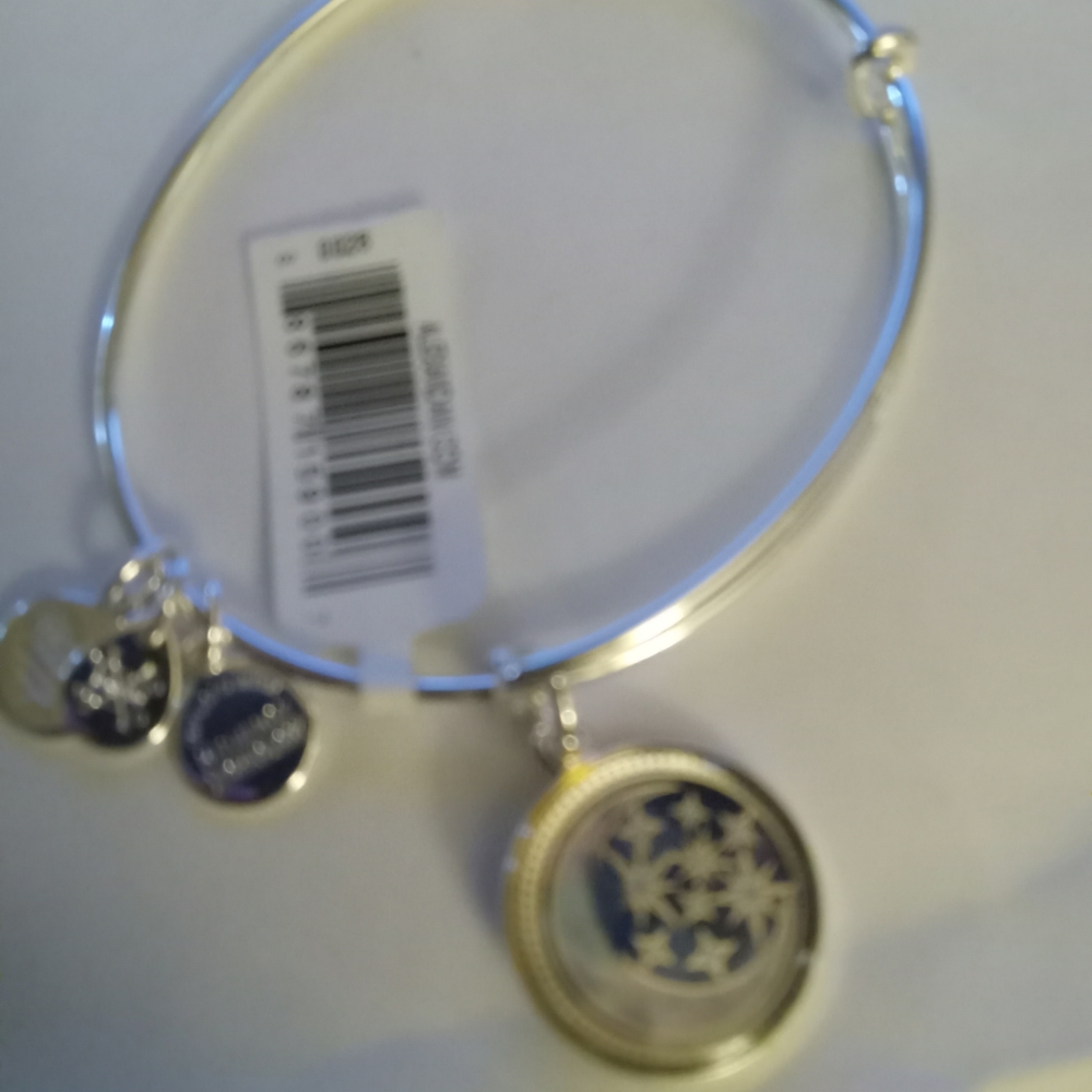 Alex and Ari Silver Bracelet New Half Moon Charm with floating stars Charm
